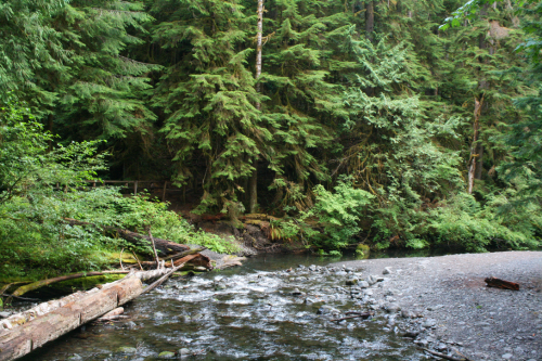 bright-witch: ◈ Olympic Peninsula photography by Michelle N.W. ◈ ◈ Print Shop ◈ Blog ◈ Flickr ◈ ◈ Pl