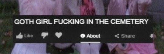 Tumblr media
