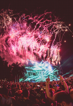 rave-nation:  Ultra 2014 | alexgperez.com 