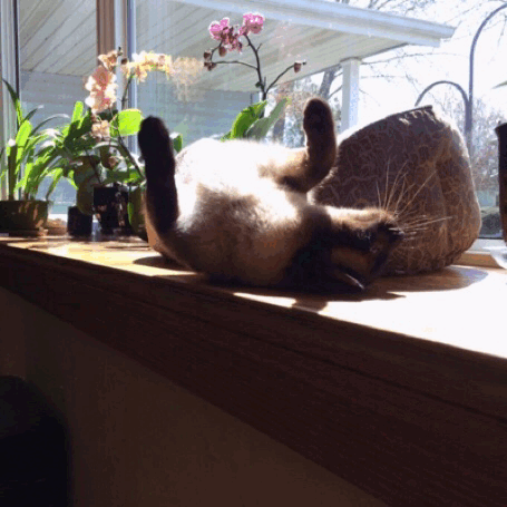 Sunbathing