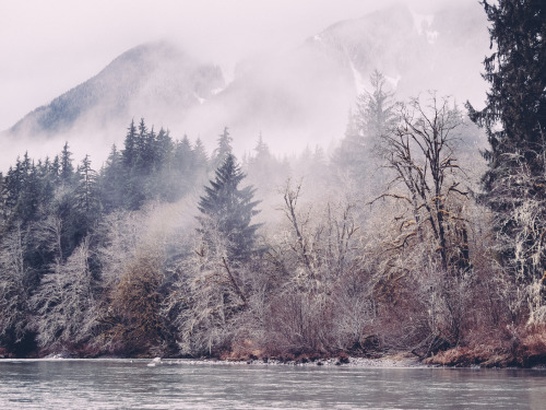 lifeinmotion84:  Winter is coming. 