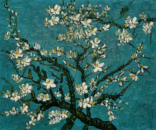 sorrowingoldman: Branches Of An Almond Tree In Blossom Van Gogh