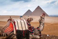 westeastsouthnorth:  Giza, Egypt 