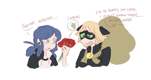 spatziline:but what about “Marinette is not a Ladybug”