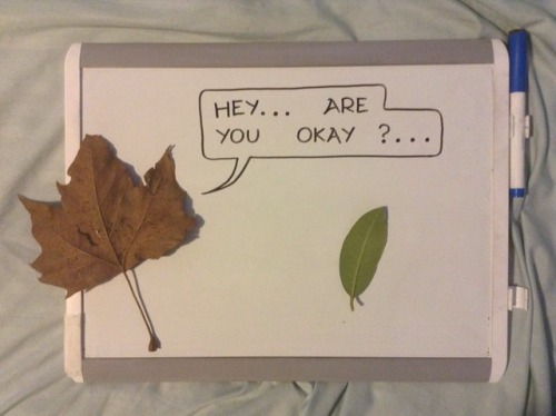 heym00nbaby: