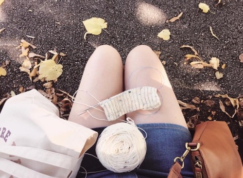 First day of fall knits!
