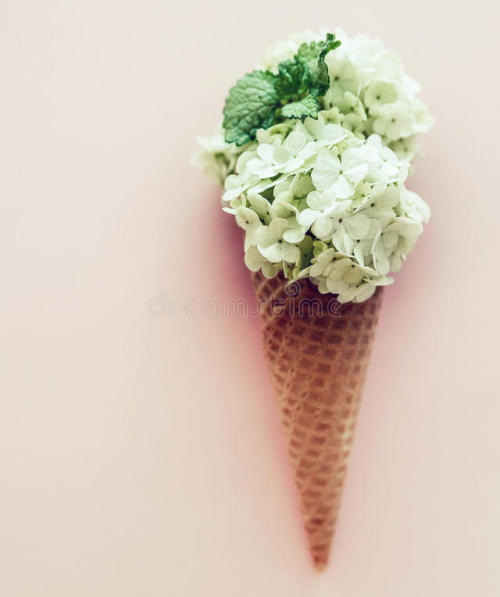 Hydrangea flowers in waffle cone with mint leaves, photograph by Kulikovan