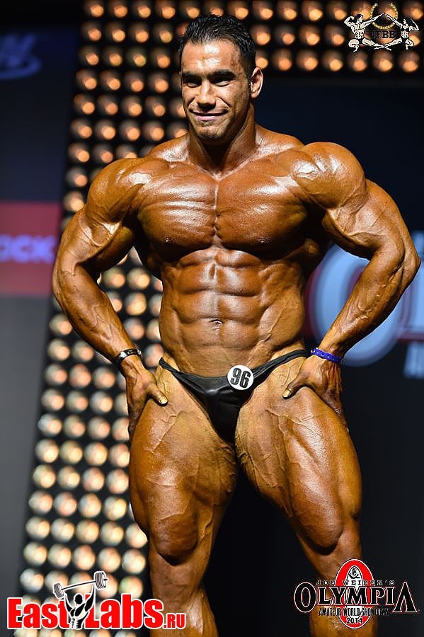 nicemusclemen:Ayat Bagheri