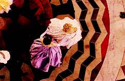 Sassymajesty:  Nikitasmears Asked Ladies + Scenerygasm 
