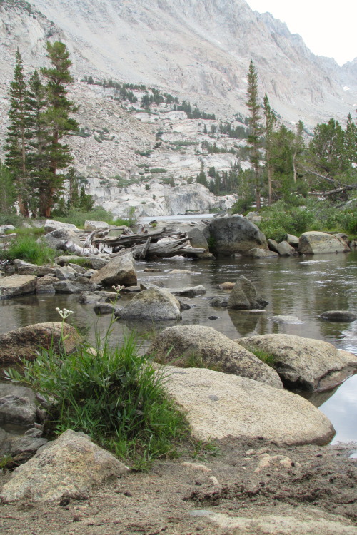 letsbeforestfriends:  I can’t even tell you how tired I was when I took this