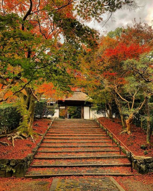 安楽寺庭園 [ 京都市左京区 ] Anraku-ji Temple Garden, Kyoto の写真・記事を更新しました。 ーー“哲学の道”の途中、茅葺きの山門が映える紅葉とサツキの名所 #国登録有