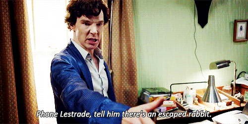 benedictedits:the most underrated Sherlock quote in the history of underrated Sherlock quotes
