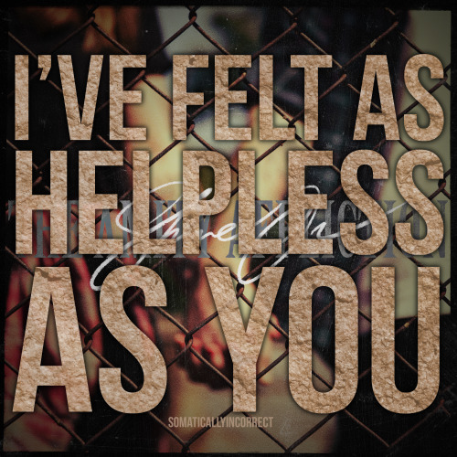 somaticallyincorrect:  The Amity Affliction - Shine On