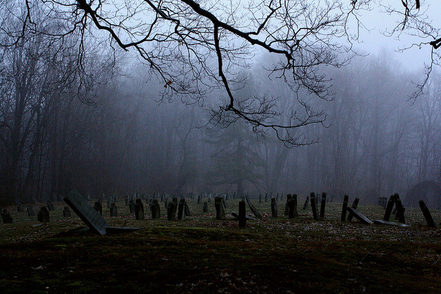 90377:  fog by -brilliant on Flickr.