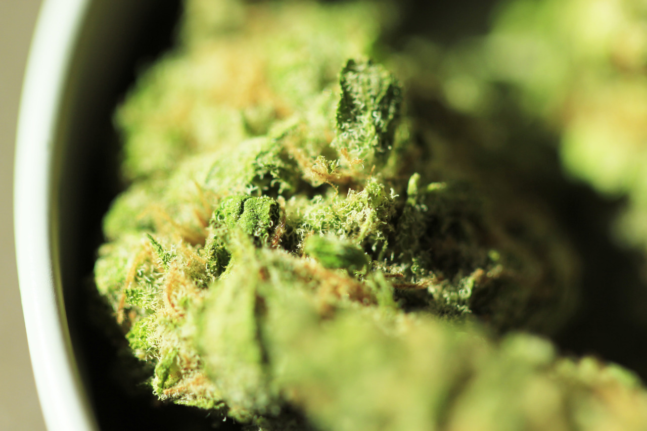 a-high-ass-ginger:  Blue Dream! It’s what’s in the bowl! I follow back everyone!