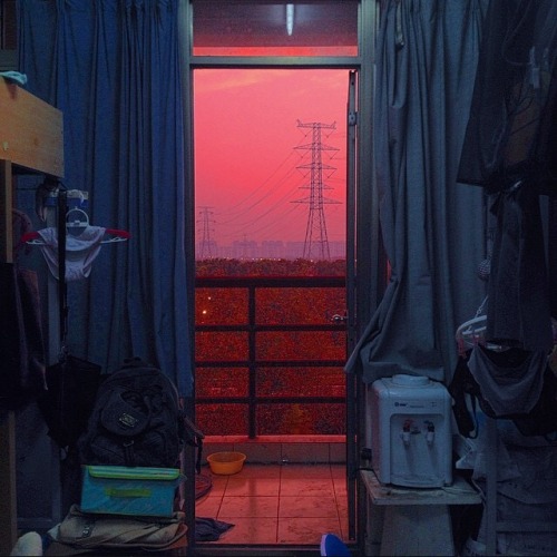 5oil:  https://instagram.com/p/uXp3UHDJOh/ 