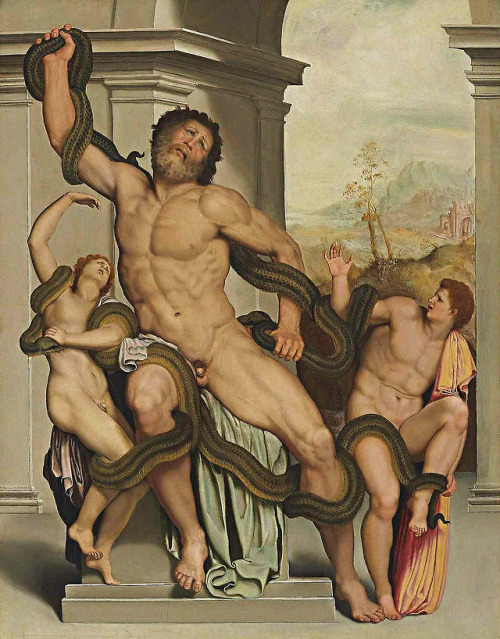 massiwa4:hadrian6:Laocoon. c.1550s. Alessandro Allori. Italian 1535-1607. oil/canvas.               