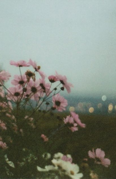 crystvllized:  vintage photography ☯✝ 