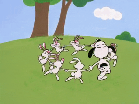 THE KANGAROO(KIE) VS. THE WORLD