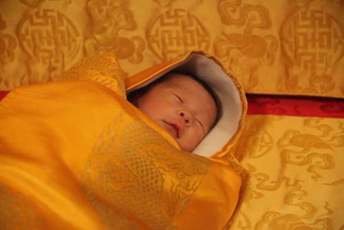 gelatinadeleche:mymodernmet:Eco-Friendly Nation of Bhutan Celebrates the Birth of Its Prince By Plan