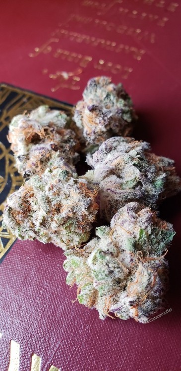 tristanemoffet:  Purple Punch