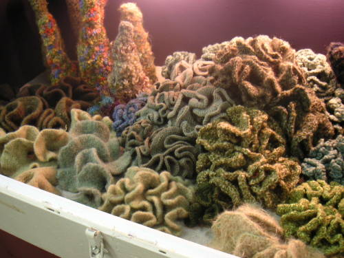 geekwithnoshame:crochet coral reef The CCR is a project that resides at the intersection of mathem