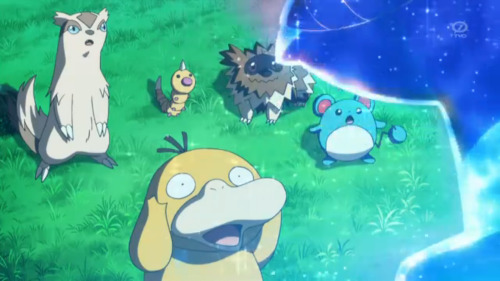 djsockpuppet: Everyone knows the real secret to evolution is picking up a Psyduck.