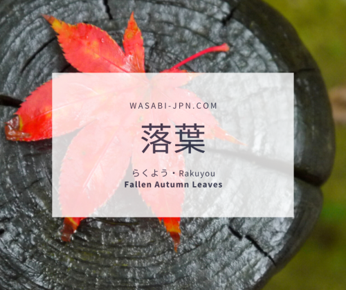 wasabijpn