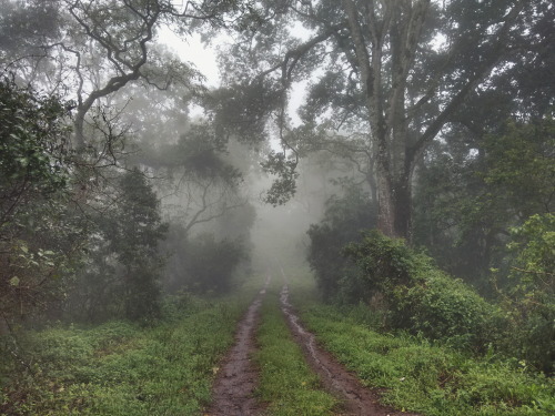 danielodowd:  http://colinvanelli.vsco.co/