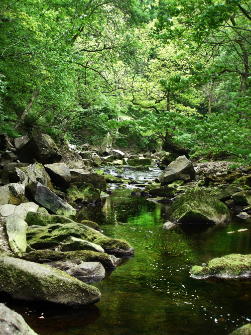 breathtakingdestinations: Goathland - North Yorkshire - England (by Tim Caynes) 