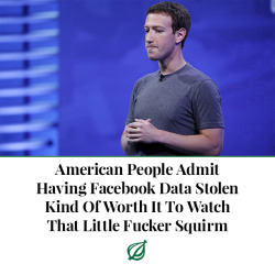 sarajevski: theonion: CHICAGO—Saying it was ultimately a small price to pay in exchange for the splendid spectacle that has followed, millions of Americans admitted Thursday that they didn’t really mind having their Facebook data stolen if it meant