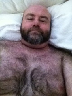 bears daddies grandsome-one