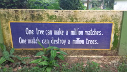 fluffycl0wn:  One tree can make a million matches. One match can destroy a million trees. Taken just outside the entrance of the Kodanad Elephant Training Centre (Kodanad, Kerala, India) in July 2014. 