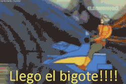 Wachaca
