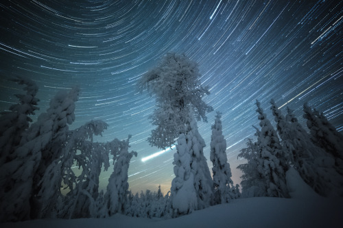 tiinatormanenphotography: Star trails.  70 frames / 30s exposure each / StarStaX / Lr /Ps 