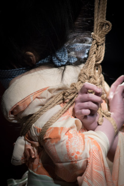 thevertigonetwork:    Kinbaku Naka AkiraModel