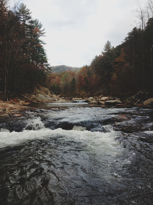 kushandwizdom:  Words of Emotion