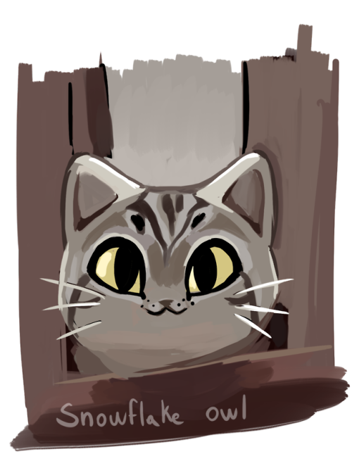 snowflake-owl:I drew @charlesoberonn‘s cat (named Simon, such a good boi) for nationalpetday’s hasht