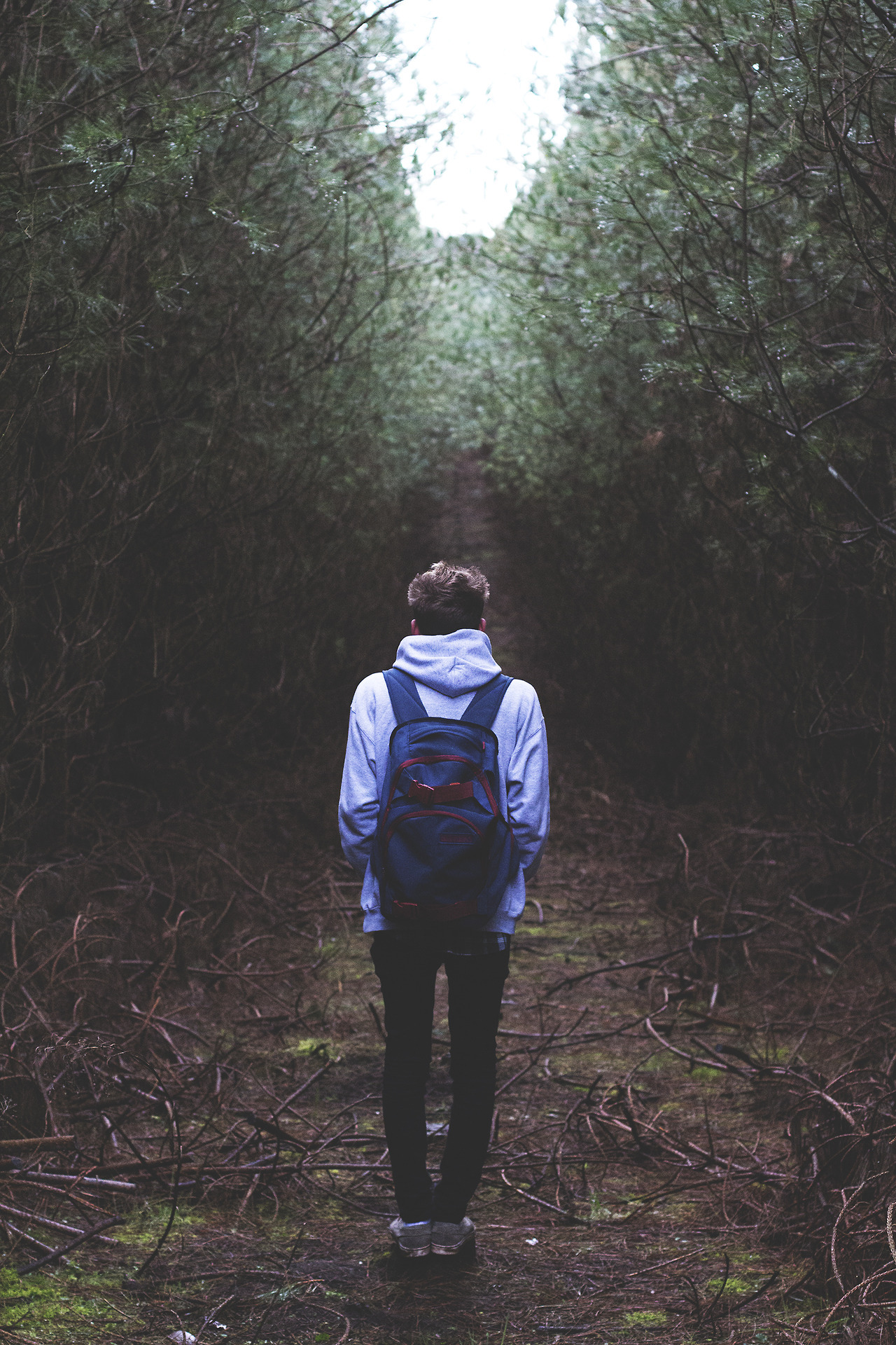 wolftramp:  Vintage Blog ☼ 