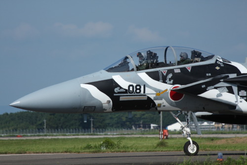 rocketumbl:  F-15DJ 