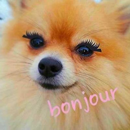 spamac: pinnyapolis:  What she says: I’m fine.  What she means: The Dante vs Bayonetta
