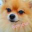 spamac: pinnyapolis:  What she says: I’m fine.  What she means: The Dante vs Bayonetta