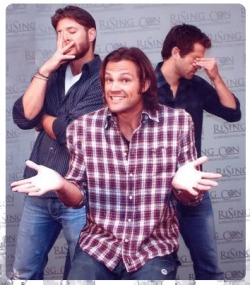 cracksmyshitup:  assstiel:  chaaaaaaaaaaaaaaaaaarlie:  teamponytail:  cultureofwhoiam:  Jared Padalecki everyone…  What sitcom is this from?  So Get This    i think i went too far on this one  #This needs to be a FULL size post Tabby…  