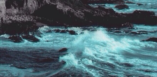 hyfrxicons:  Taylor Swift packs  • please like if you save or use • do not need to give credit