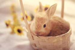 Welcome!