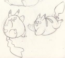 tipsycanadian:  Fat Pikachus are the best