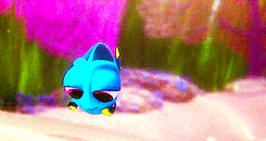 musicalhog:  baby dory appreciation gifset  requested by @gastonsbimbette