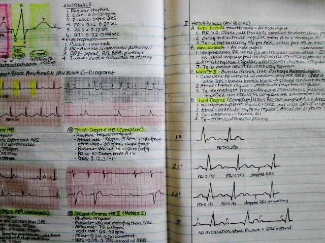 student-nurblr:telencefalon:A Nursing Student’s Notebook. Contains notes from my