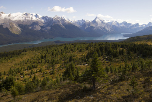 90377:Jasper National Park by Jérémy RONDAN