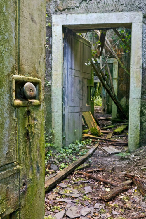 abandoned-playgrounds: …Baron Hill Estate was built in 1618 at the request of the Richard Bulkeley. 